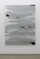 Text Pieces, Obliterated Mirror & Tautological Paintings